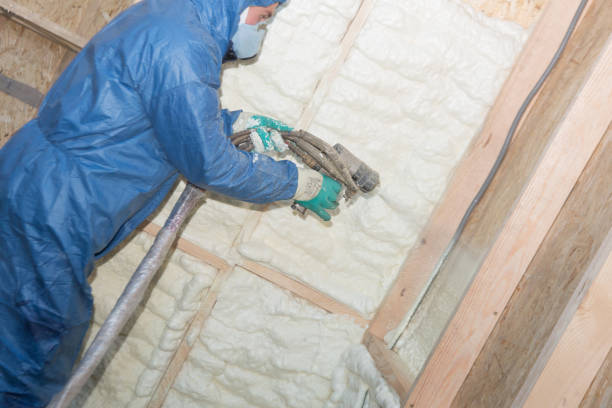 Best Crawl Space Insulation  in Collinsvle, IL