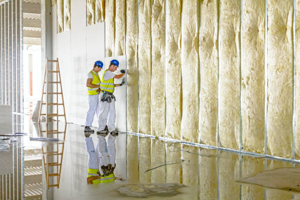 Best Spray Foam Insulation  in Collinsvle, IL